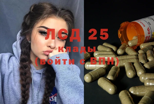 ПСИЛОЦИБИНОВЫЕ ГРИБЫ Нея