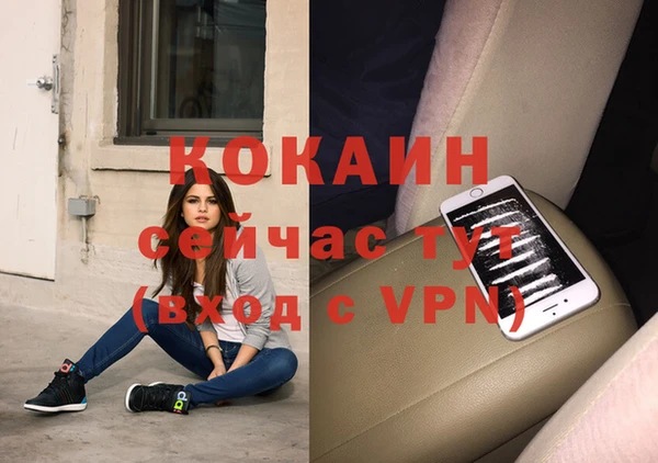 ПСИЛОЦИБИНОВЫЕ ГРИБЫ Нея
