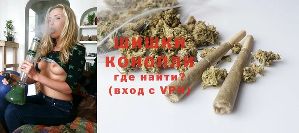 ПСИЛОЦИБИНОВЫЕ ГРИБЫ Нея