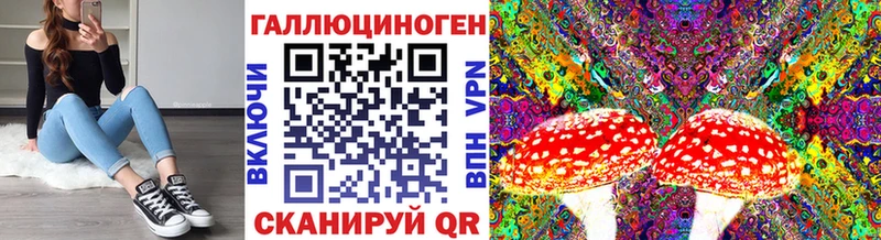 Псилоцибиновые грибы Psilocybine cubensis  сколько стоит  Дно 